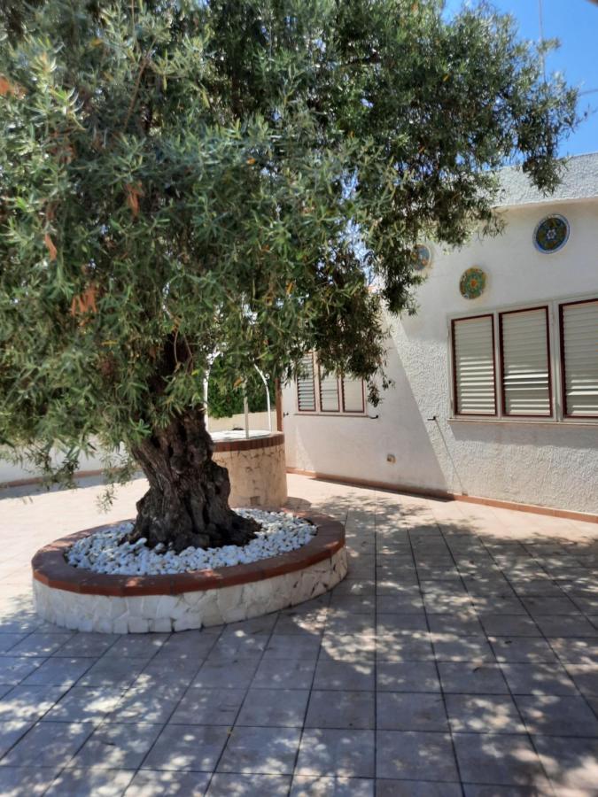Villa Nina Fontane Bianche Eksteriør bilde